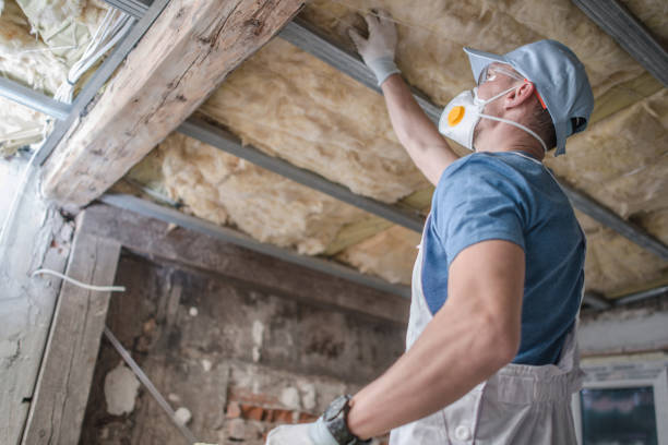 Best Energy Efficiency Insulation in Canton, PA